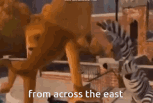 From Across GIF - From Across The East GIFs
