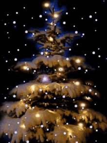 Christmas Lights Christmas Tree Lights GIF - Christmas Lights Christmas Tree Lights Christmas GIFs
