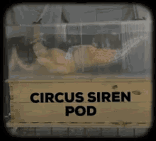 Circus Siren Pod Csp GIF - Circus Siren Pod Csp Little Mermaid GIFs
