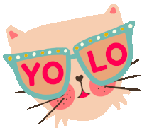 Cat Yolo Sticker - Cat Yolo Life Stickers