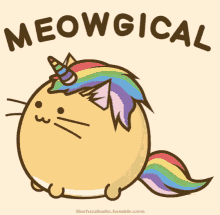 cat unicorn rainbow magical meowgical