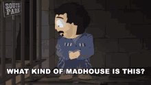 What Kind Of Madhouse Is This Randy Marsh GIF - What Kind Of Madhouse Is This Randy Marsh South Park GIFs