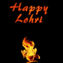 happy lohri