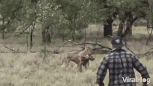 Running In Hurry GIF - Running In Hurry To The Rescue GIFs