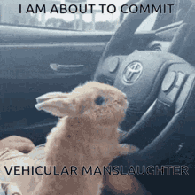 Bunny Meme GIF - Bunny Meme Milks Justice GIFs