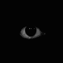 terror eye dark