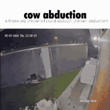 Cow Abduction Reverse GIF - Cow Abduction Reverse Is There Any Chicken I Could Abduct GIFs