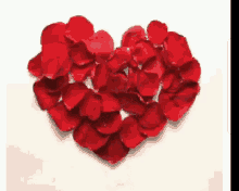 Hearts Love GIF - Hearts Love Petals GIFs