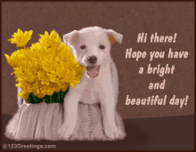 Hi There Hope You Have A Bright And Beautiful Day GIF - Hi There Hope You Have A Bright And Beautiful Day Yellow Flowers GIFs