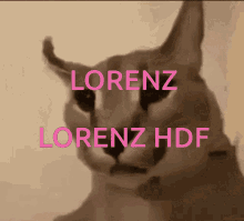 Lorenz Xappy GIF - Lorenz Xappy Floppa GIFs