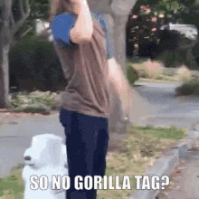 Gorilla Tag Gorilla GIF - Gorilla Tag Gorilla Tag GIFs