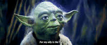 Star Wars Yoda GIF - Star Wars Yoda For My Ally Is The Force GIFs