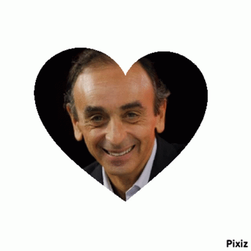 zemmour 2022 sticker zemmour 2022 eric discover share gifs