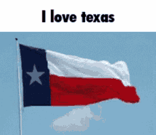 Texan Pride Proud To Be From Texas GIF - Texan Pride Proud To Be From Texas Texas GIFs