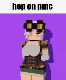 Hop On Pmc Minecraft GIF - Hop On Pmc Hop On Minecraft GIFs