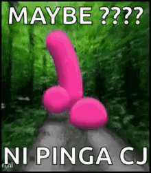 wtf running penis sex toy maybe