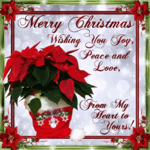 Merry Christmas Poinsettia GIF - Merry Christmas Poinsettia Love Joy Peace GIFs