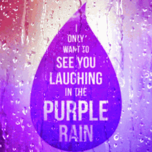 Purple Purple Rain GIF - Purple Purple Rain Prince GIFs