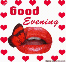 Good Evening Chat Mr Knight GIF - Good Evening Chat Mr Knight Moon K ...