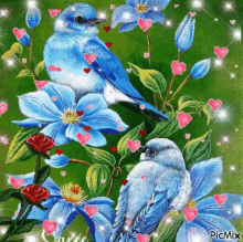 Birds Flowers GIF - Birds Flowers Blue GIFs