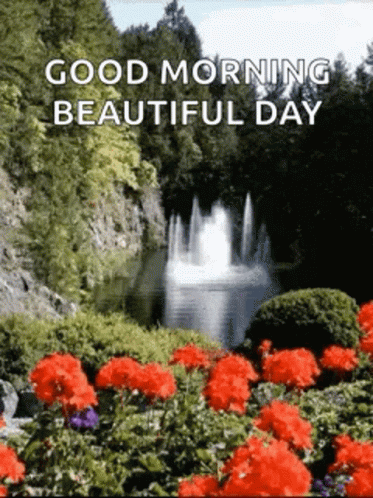 Morning Beautiful - Good Morning Beautiful Day - Discover & Share GIFs