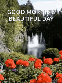 Good Morning Beautiful Day GIF - Good Morning Beautiful Day Nature GIFs