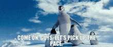 happy feet two mumble come on guys lets pick up the pace pick up the pace