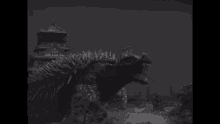 anguirus anguirus1955 godzilla