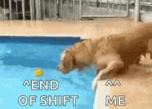 Almost End Of Shift GIF - Almost End Of Shift Cute GIFs
