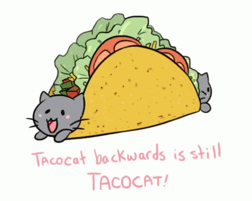 Taco Cat GIFs | Tenor