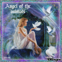 Angels Of The Animals Bird GIF - Angels Of The Animals Bird Glitters GIFs