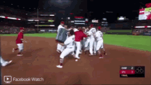 st louis cardinals walk off celebration