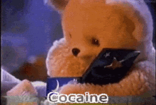Cocaine Snuggie GIF - Cocaine Snuggie Bear GIFs