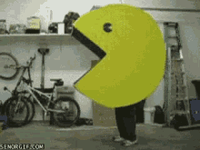 Pacman Funny GIF - Pacman Funny GIFs