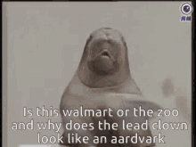 Walmart Zoo GIF - Walmart Zoo Why Does Lead Clown Look Like Aadvark GIFs