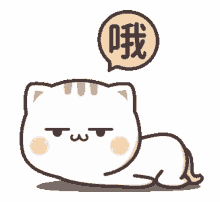 oh sigh ok okay kitten oh sigh ok okay kitten