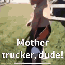 Mothertrucker That Hurt GIF - Mothertrucker That Hurt Truck GIFs