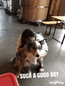Dog Such A Good Boy GIF - Dog Such A Good Boy Hug GIFs