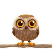 Owl Curious GIF - Owl Curious Cute GIFs