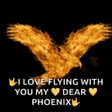 flying phoenix flame phoenix