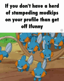 Mudkips Pokemon GIF - Mudkips Pokemon Herd Of Mud Kips GIFs