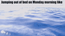 Jumping Out Of Bed Dolphin GIF - Jumping Out Of Bed Dolphin Monday Morning GIFs