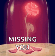 she loves me she loves me not beauty and the beast rose glitter she loves me she loves me not beauty and the beast rose glitter