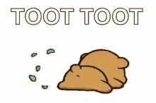 toot bears