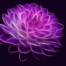 Flower Violet GIF - Flower Violet Spinning GIFs