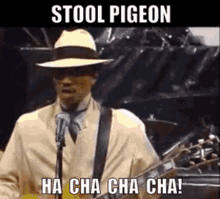 kid creole and the coconuts stool pigeon theres a gentleman thats going round turning the joint upside down