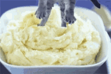 All The Fixins Mashed Potatoes GIF - All The Fixins Mashed Potatoes Cats GIFs