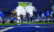 Kentucky Football GIF - Kentucky Football Wildcats GIFs