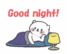 go to sleep cat love sweet dreams goodnight