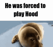 He Was Forced He Was Forced To Play GIF - He Was Forced He Was Forced To Play He Was Forced To Play Hood GIFs